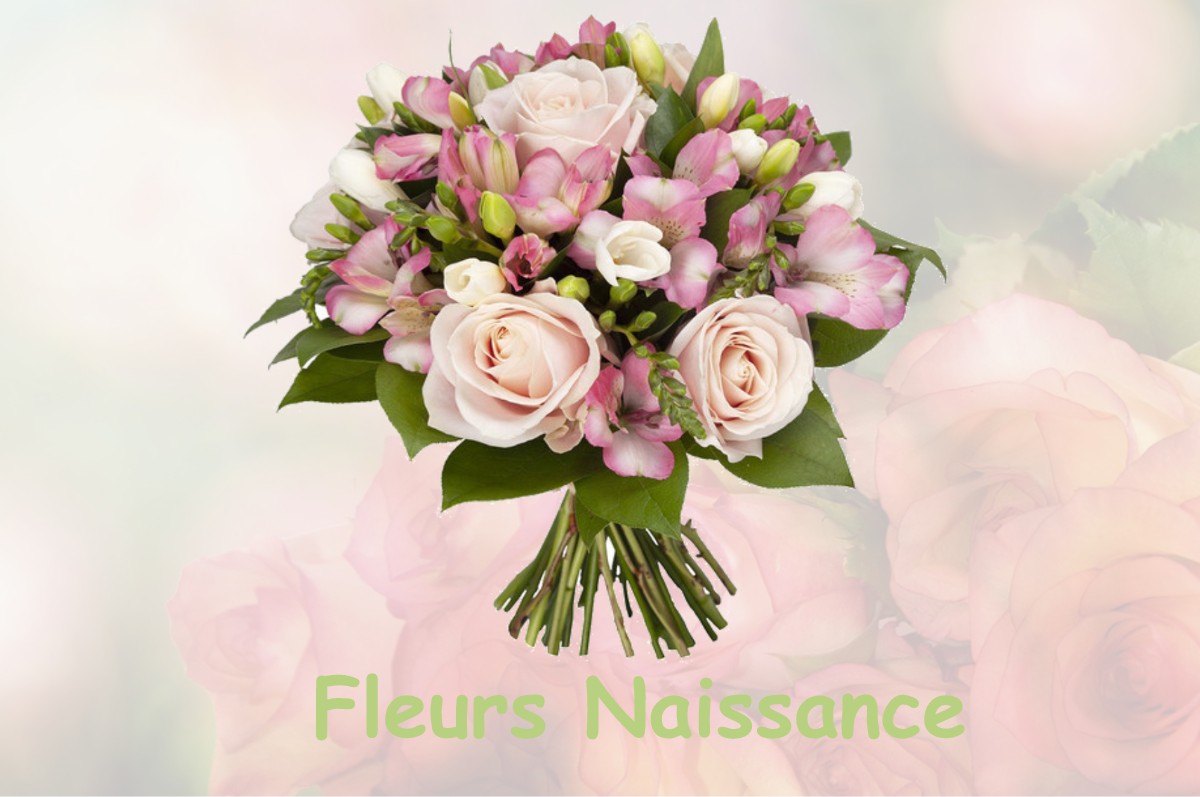 fleurs naissance LE-PERREUX-SUR-MARNE